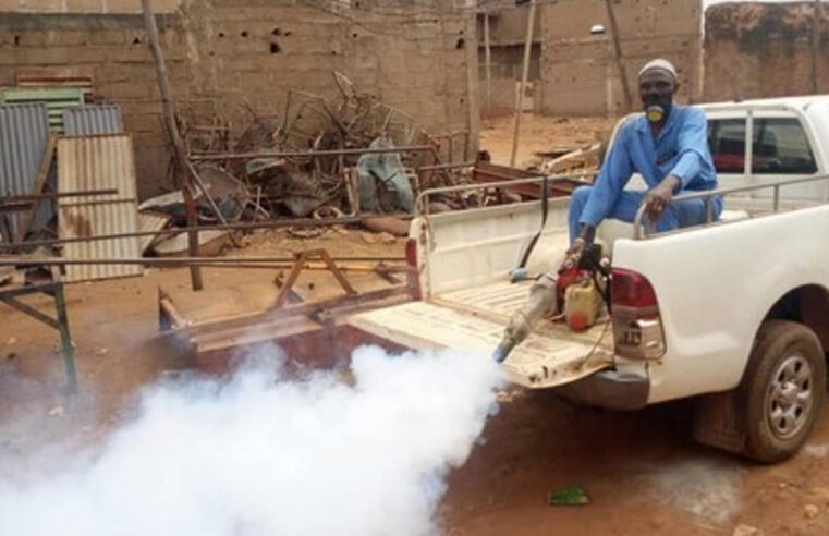 Alerte sanitaire au Mali : la dengue gagne du terrain