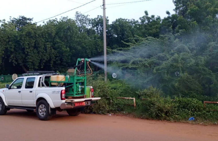 Épidémie de dengue au Burkina Faso : bilan et mesures de lutte