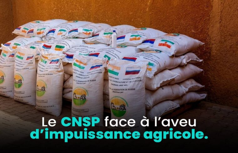 Le Niger et l&rsquo;engrais russe : un levier pour l&rsquo;autonomie alimentaire ?
