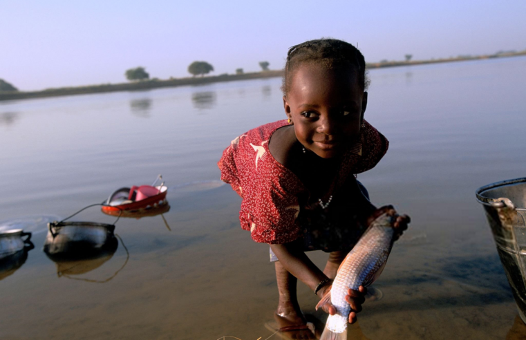 Élimination de l&rsquo;onchocercose au Niger : un modèle pour l&rsquo;afrique