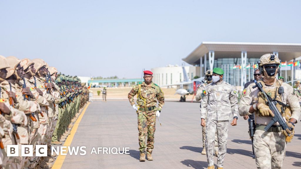 Force unifiée aesa : stratégie pour vaincre l&rsquo;insécurité au Sahel