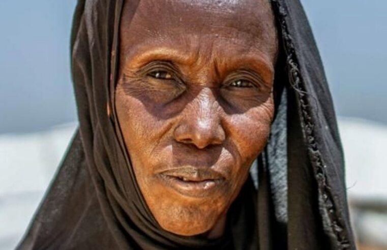 Exposition sur la crise au Mali : sept ong alertent à bruxelles