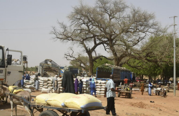 Crise humanitaire à Téra : des milliers de civils fuient la pression des groupes armés au Niger