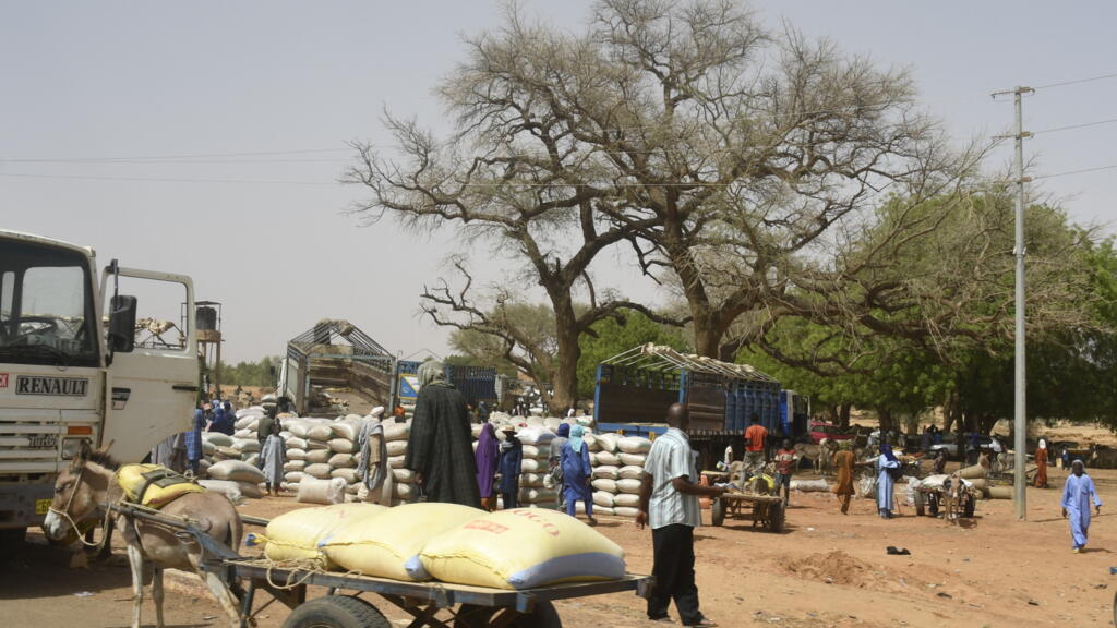 Crise humanitaire à Téra : des milliers de civils fuient la pression des groupes armés au Niger