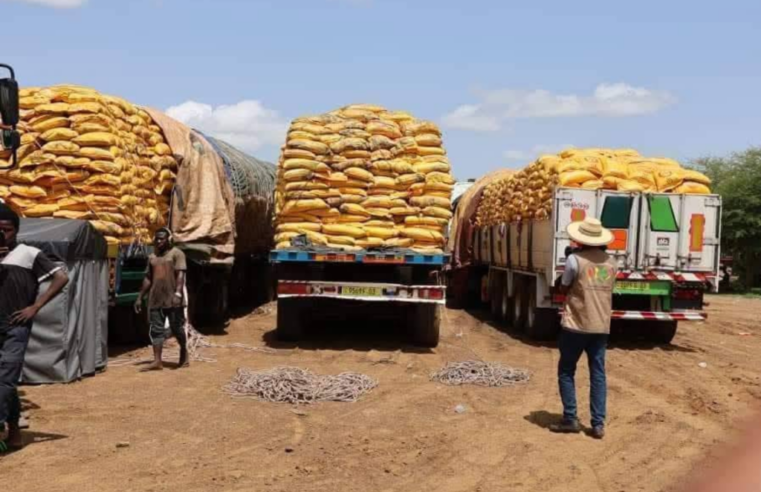 Burkina faso : la junte d&rsquo;ibrahim traoré face à l&rsquo;échec de sa souveraineté alimentaire