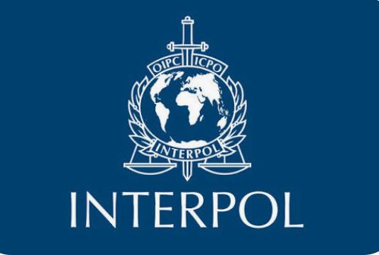 Interpol Bénin démantèle trois réseaux criminels internationaux