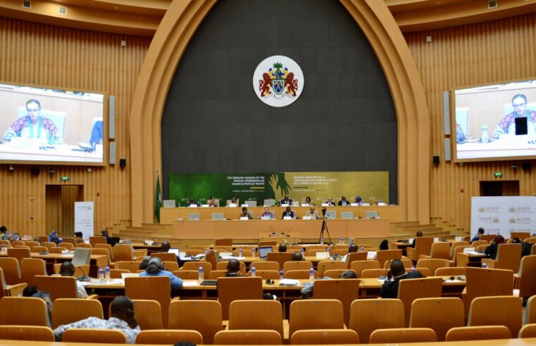 Cadhp : appel à l&rsquo;action pour les droits humains au Burkina Faso