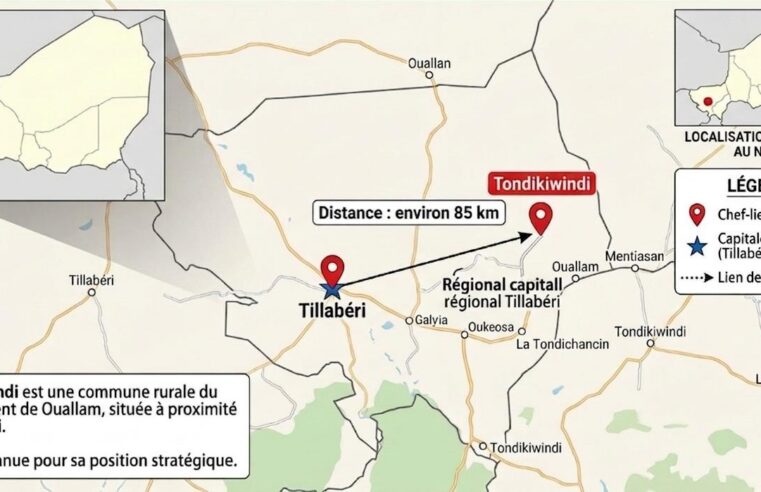 Frappe de drone au Niger : le coût humain d&rsquo;une stratégie sécuritaire controversée à Tondikiwindi