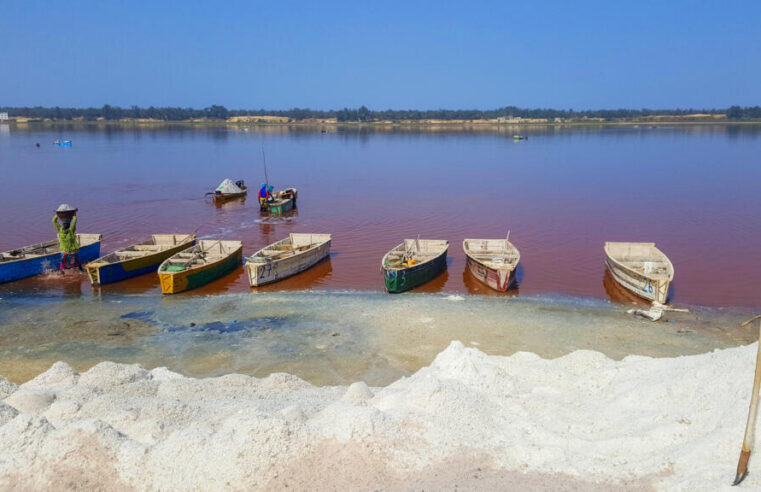 Lac Rose : la contestation s&rsquo;intensifie face au projet de ville verte près de Dakar