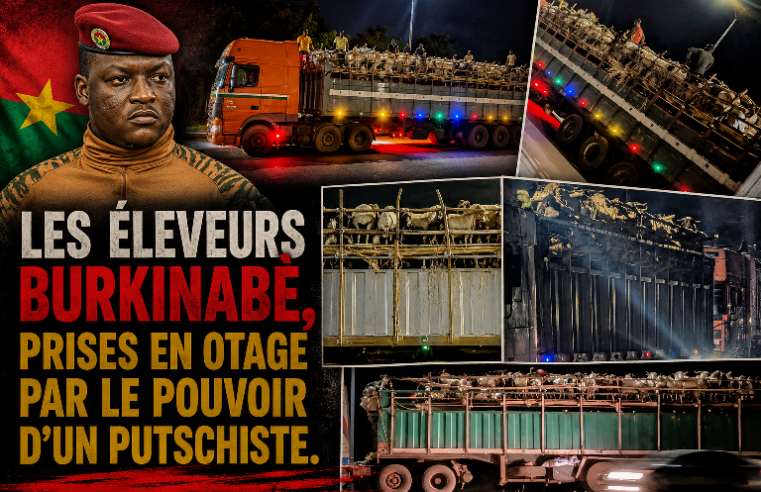 Burkina Faso : l&rsquo;interdiction du bétail à l&rsquo;exportation menace les éleveurs avant le Ramadan