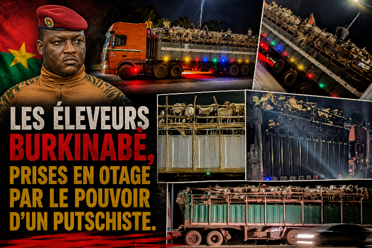 Burkina Faso : l&rsquo;interdiction du bétail à l&rsquo;exportation menace les éleveurs avant le Ramadan