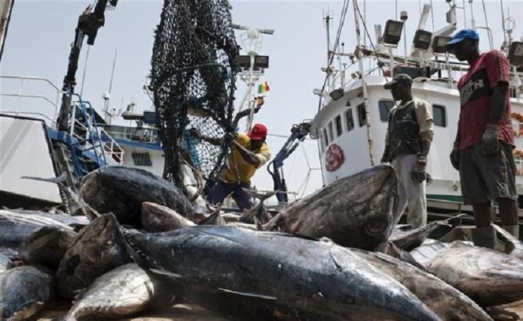 Le Sénégal renforce sa souveraineté alimentaire avec de nouvelles licences de pêche démersale
