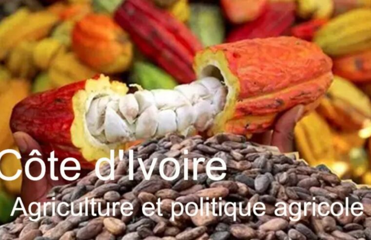 L&rsquo;agriculture ivoirienne : pilier économique et défis sociaux