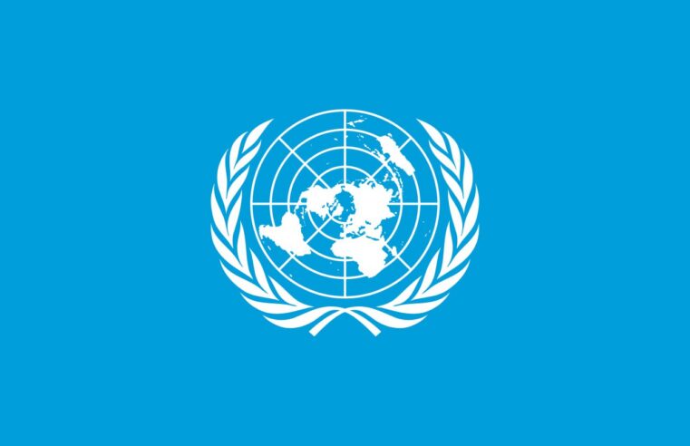 Mali : l&rsquo;ONU dénonce les attaques terroristes et exige justice