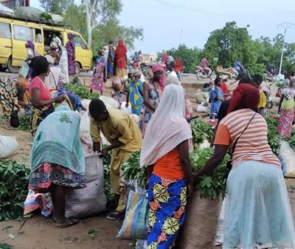 N&rsquo;Djamena face à ses défis urbains : pauvreté et désordre en question
