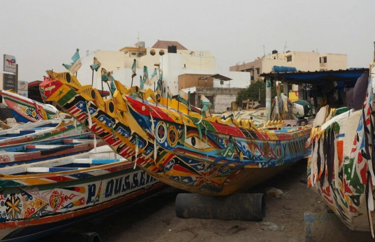 Sénégal : production industrielle en forte hausse de 23,9 % en septembre 2025