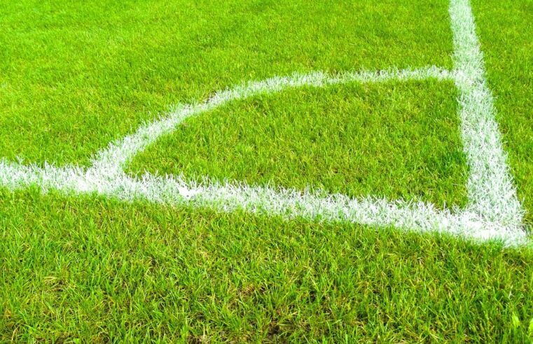 Barrages ligue 1 et ligue 2 : qui entre nice et saint-etienne ce soir ?