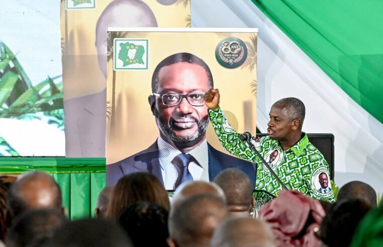 Côte d&rsquo;Ivoire : les tensions entre le rhdp et le pdci révélées par les manœuvres politiques