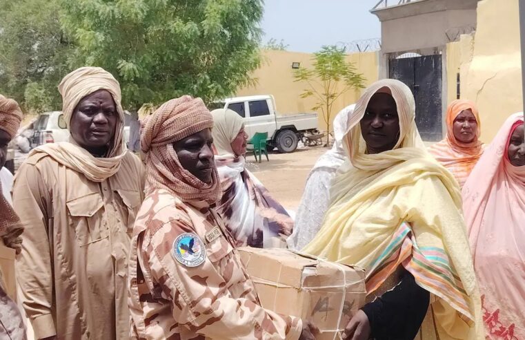 Femmes du lac tchadien renforcent leur soutien aux soldats face aux menaces de boko haram