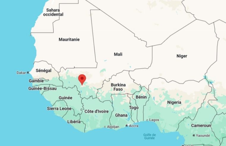 Manifestations massives au Mali pour défendre la démocratie et les partis politiques