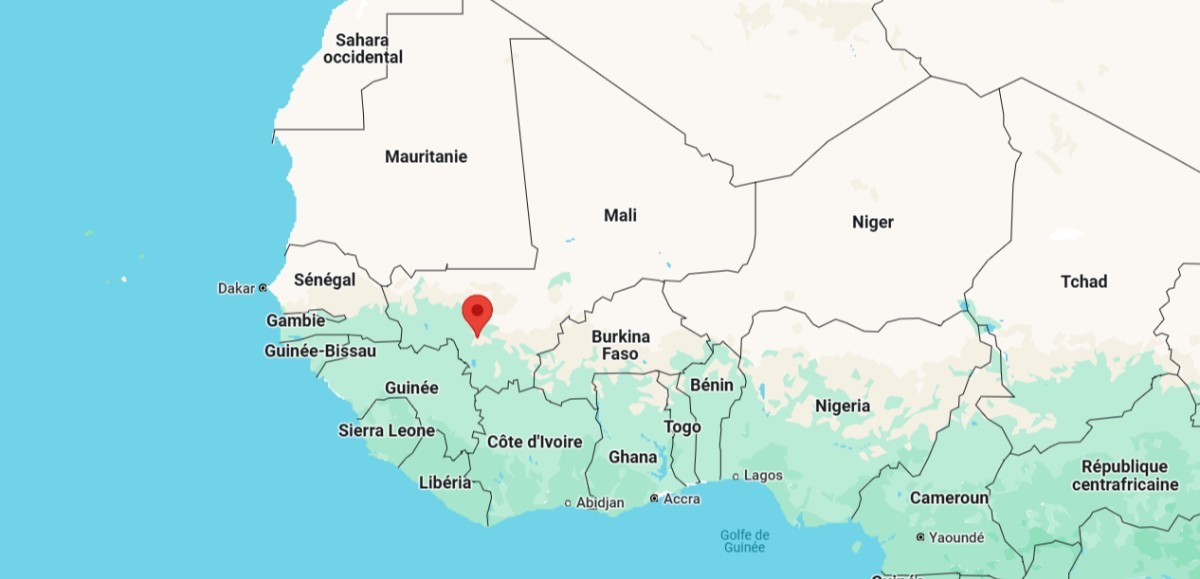 Manifestations massives au Mali pour défendre la démocratie et les partis politiques