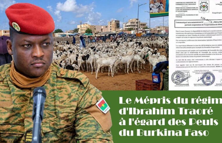 Burkina Faso : la communauté peule étouffée par les mesures du capitaine Traoré