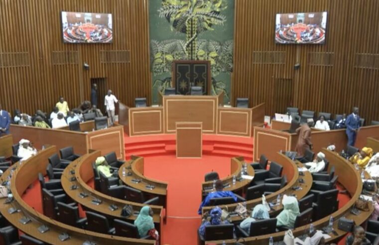Sénégal : Ousmane Sonko vise la présidence de l&rsquo;Assemblée, l&rsquo;opposition crie au « coup d&rsquo;État institutionnel »