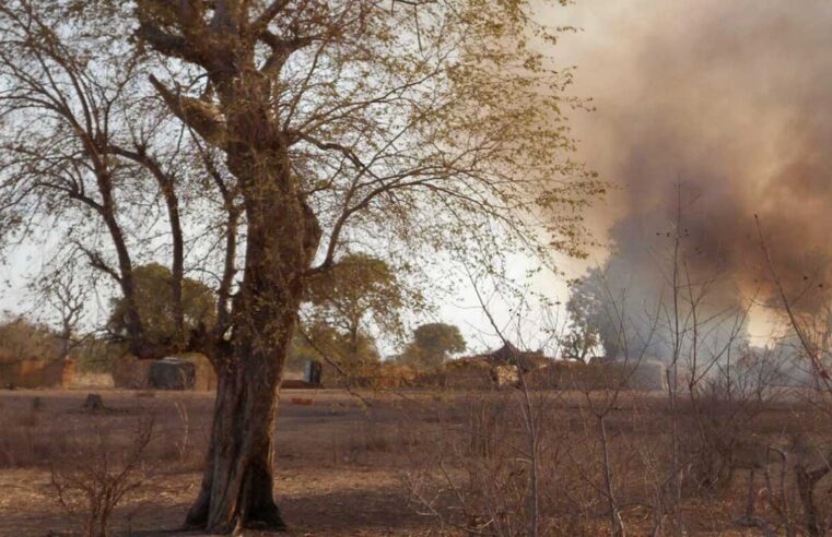Guerre dans la forêt de Sambisa entre factions de Boko Haram et PAOEI