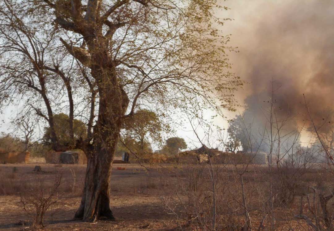 Guerre dans la forêt de Sambisa entre factions de Boko Haram et PAOEI