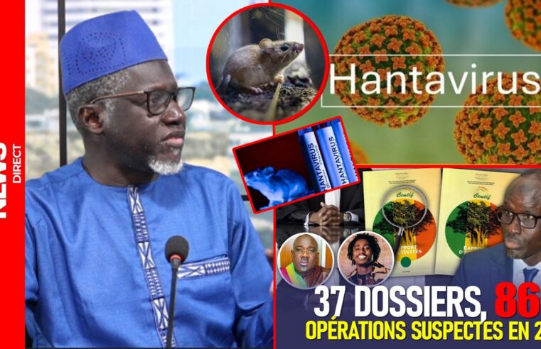 Sénégal : épidémie de hantavirus et crise de la dette sous le feu des projecteurs