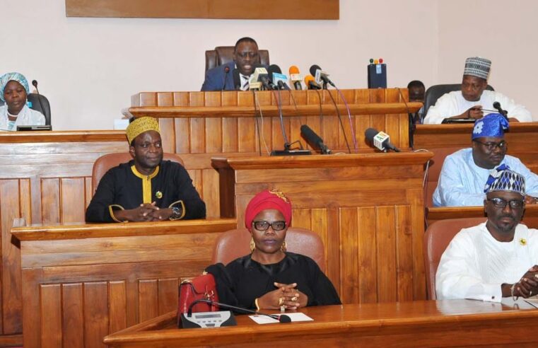 Le Bénin adopte une constitution révisée : quelles implications ?