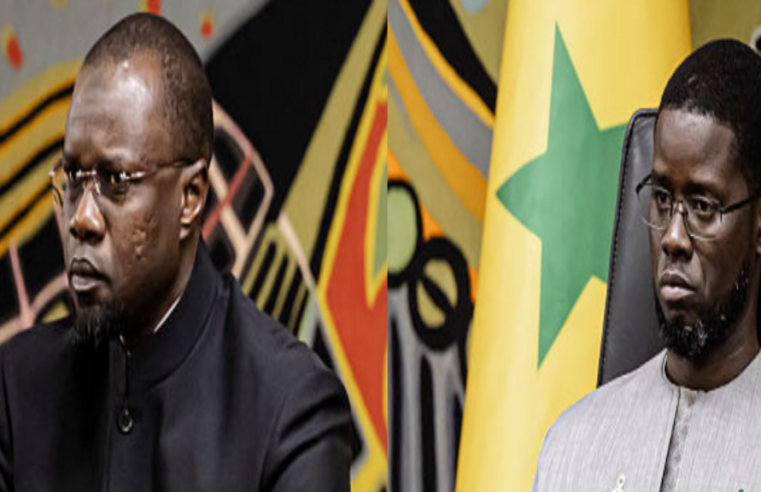 Sénégal : après la rupture entre Diomaye et Sonko, quel avenir pour 2029 ?