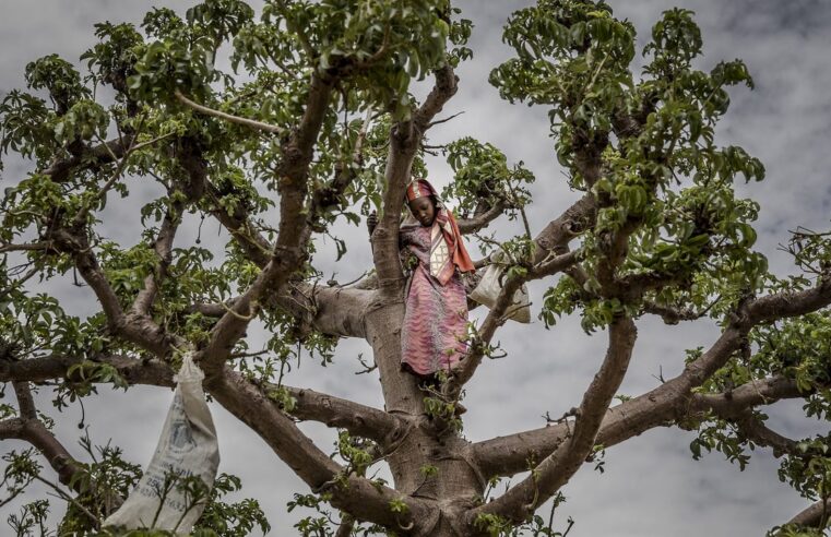 Niger : la crise économique sans précédent secoue le quotidien