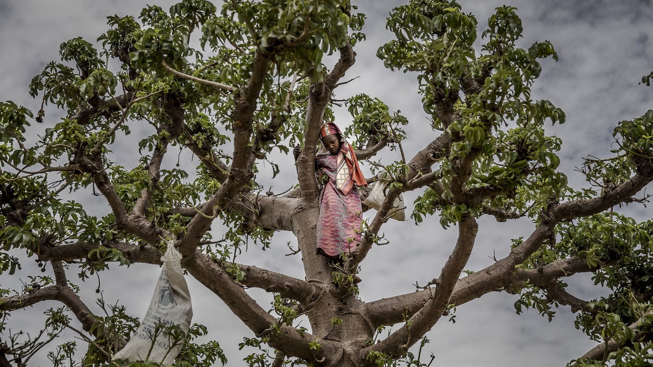 Niger : la crise économique sans précédent secoue le quotidien