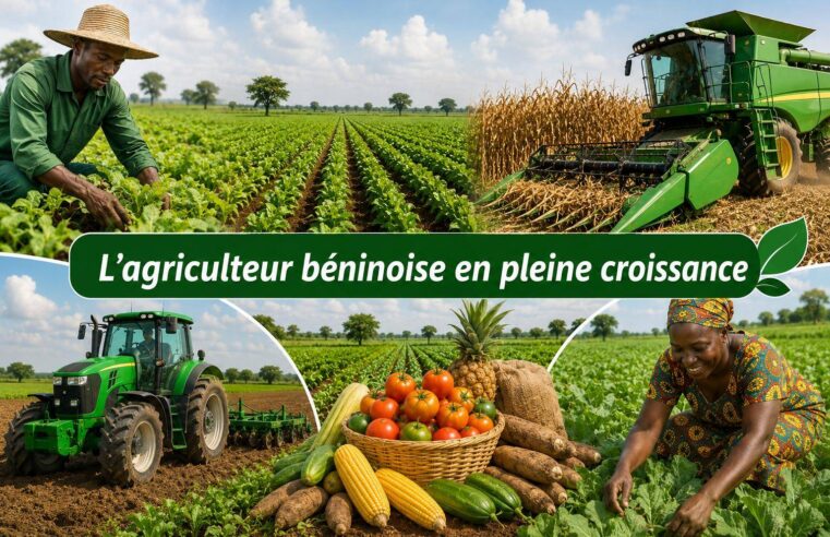 Réforme agricole au Bénin : une révolution économique sans précédent depuis 2016