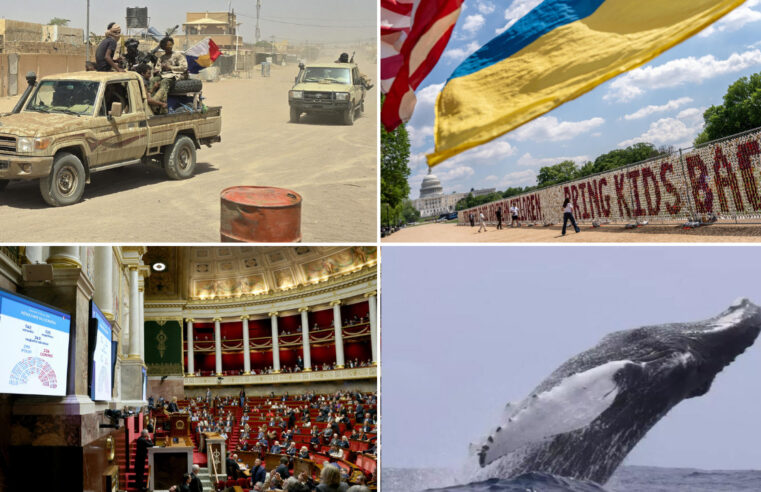 Alliance Jnim et FLA au Mali : quel avenir pour cette coopération ?