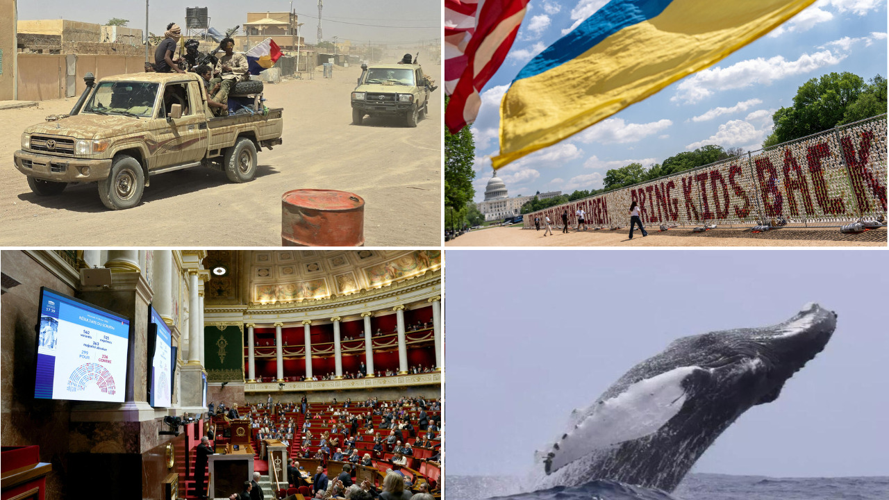 Alliance Jnim et FLA au Mali : quel avenir pour cette coopération ?