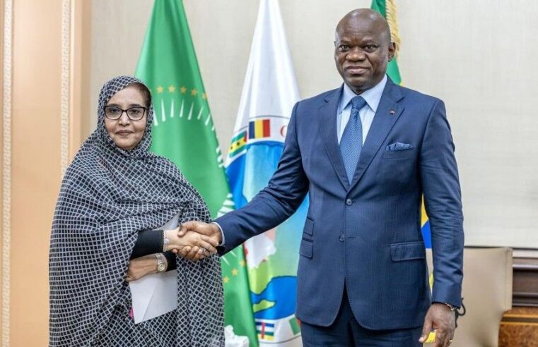 Gabon : la francophonie face à l&rsquo;afrique, un tournant historique