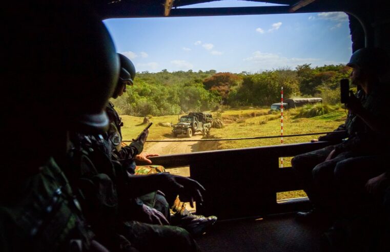 Mali: les forêts interdites aux civils pour déloger les jihadistes