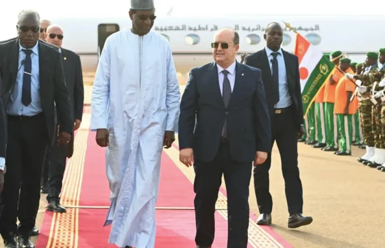 Visite officielle du Premier ministre algérien au Niger