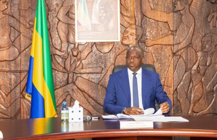Le Gabon et l&rsquo;Union européenne : un dialogue stratégique pour l&rsquo;avenir