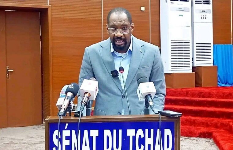 Tchad : mobilisation renforcée contre l&rsquo;insécurité intercommunautaire