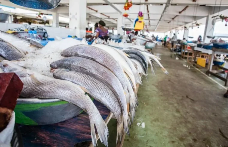 Le Gabon tourne la page de son accord de pêche avec l&rsquo;Union Européenne