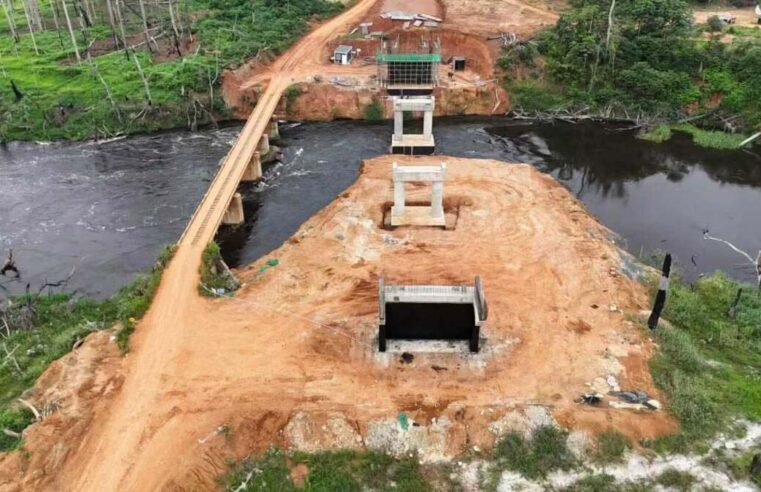 Chantier du pont sur le Dja : une avancée spectaculaire dans le Sud Cameroun