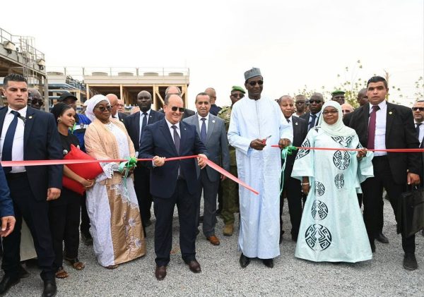Algerie et Niger renforcent leur partenariat avec une centrale électrique de 40 mw