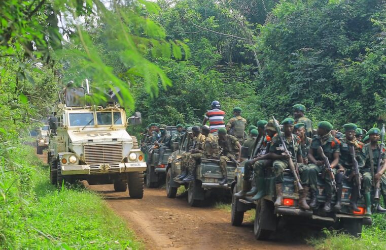 Les attaques des ADF en RDC : un bilan macabre de plus de 300 victimes cette année