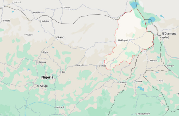 Libération massive de 400 otages par Boko Haram dans le Borno