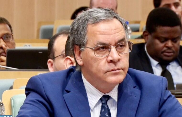 L&rsquo;action humanitaire au cœur de la stratégie diplomatique du Maroc en Afrique