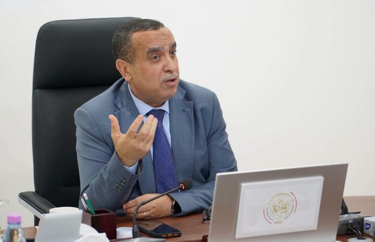 Projet électrique tCHadien : soonelgaz pose la première pierre à N&rsquo;Djamena