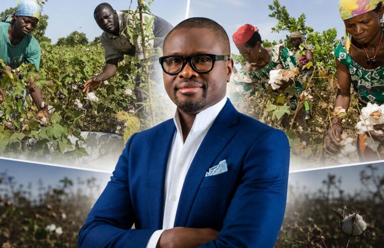 Le Bénin renforce sa filière cotonnière par une prime à la performance